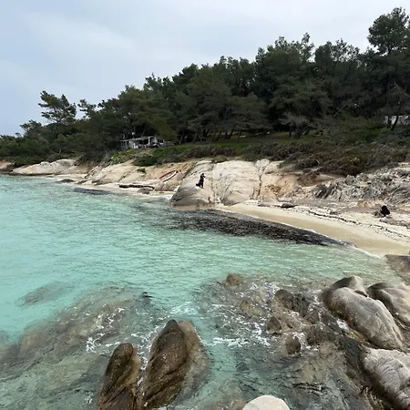 Maxum * Paliouri